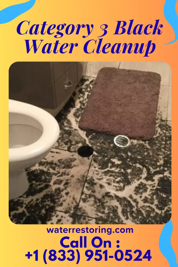 Category 3 Black Water Cleanup in Great Neck, NY